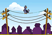 Electric Pigeon